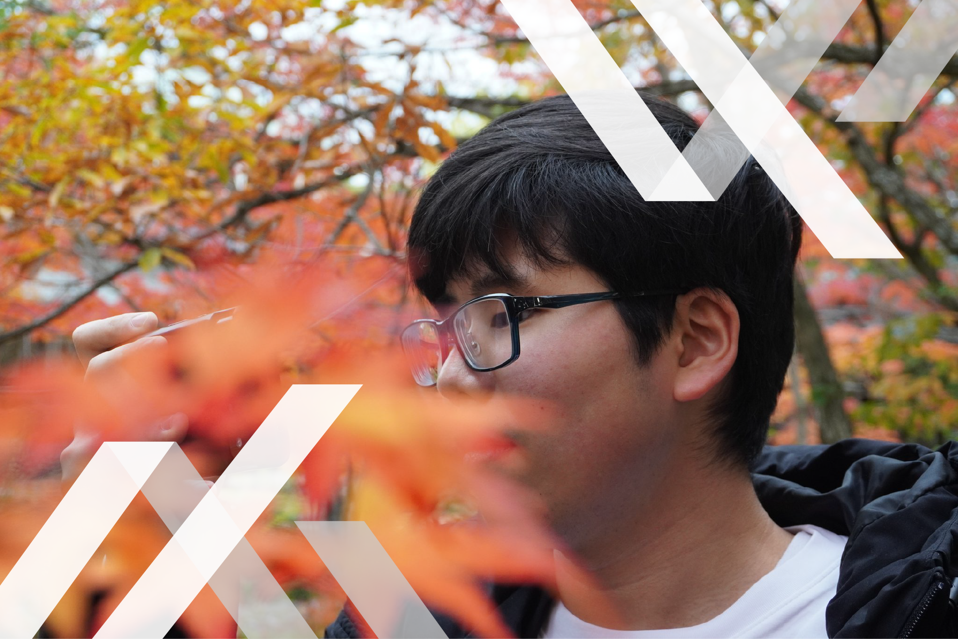 スライドショー画像3